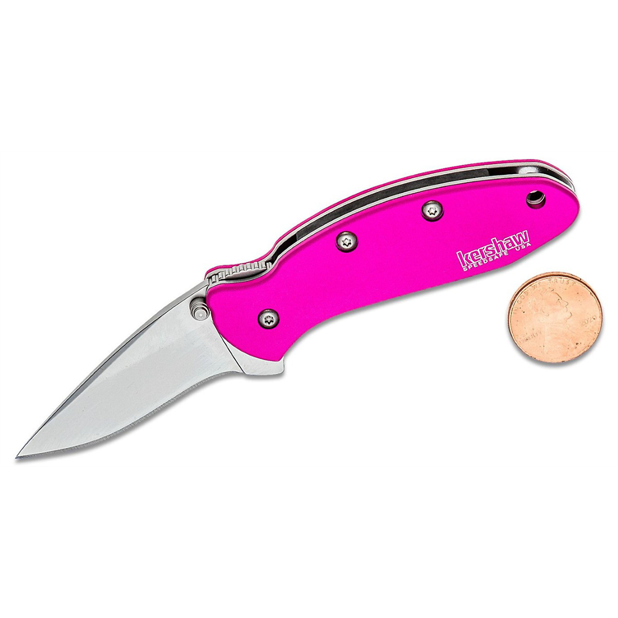 Kershaw Chive Assisted Open Liner Lock Folding Pocket Knife — 3in. Drop Point Blade, 420HC Stainless Steel, Pink, Model# KER1600PINK